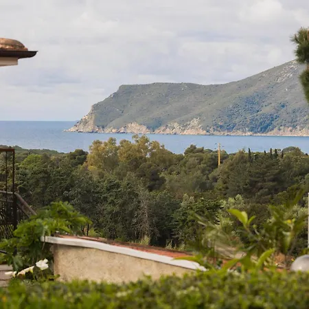 La Chiocciola - Helloelba Hébergement de vacances Lacona